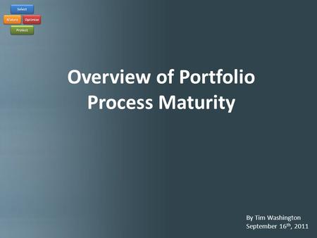 Overview of Portfolio Process Maturity