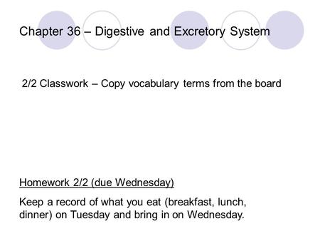 Chapter 36 – Digestive and Excretory System 2/2 Classwork – Copy vocabulary terms from the board Homework 2/2 (due Wednesday) Keep a record of what you.