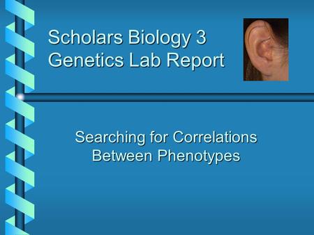 Scholars Biology 3 Genetics Lab Report Searching for Correlations Between Phenotypes.