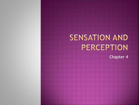 Sensation and Perception