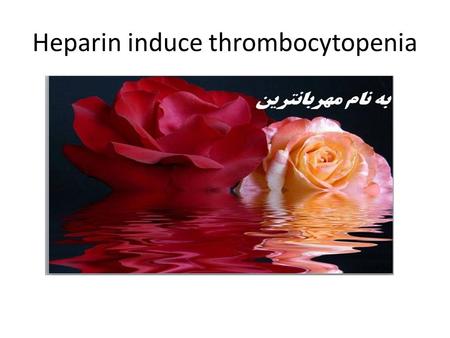 Heparin induce thrombocytopenia. Presented by the American Society of Hematology, adapted in part from the: American College of Chest Physicians Evidence-Based.