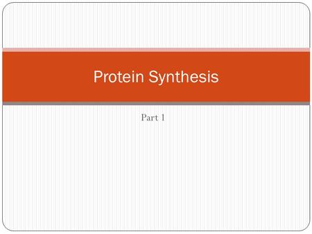 Part 1 Protein Synthesis. DNA replication vs. Protein Synthesis DNA ReplicationProtein Synthesis Produces...well.. DNA Occurs in order for mitosis or.