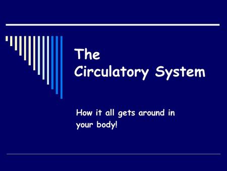 The Circulatory System