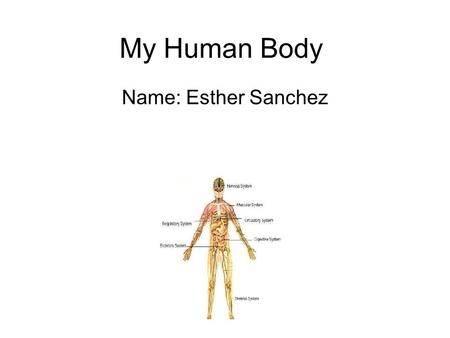 My Human Body Name: Esther Sanchez.