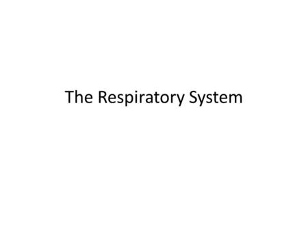 The Respiratory System