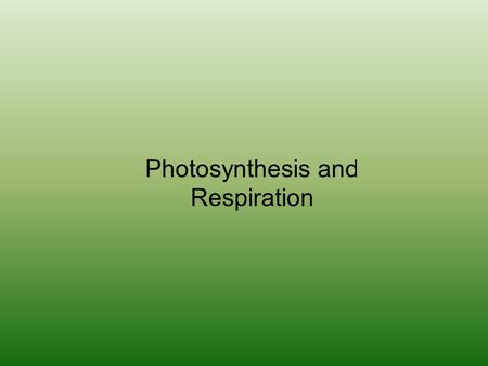 Photosynthesis and Respiration