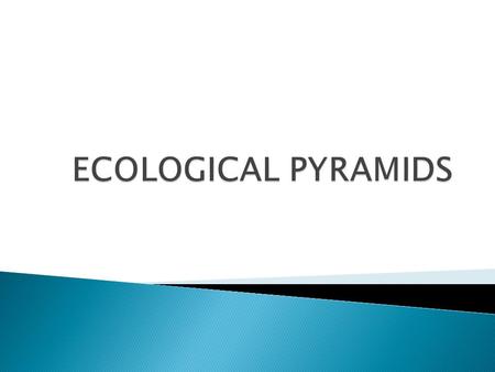 ECOLOGICAL PYRAMIDS.