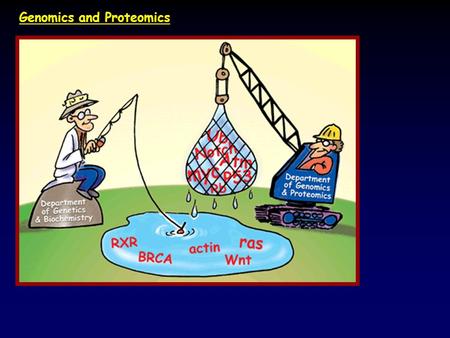 Genomics and Proteomics. DNA sequencing: dideoxy chain termination.