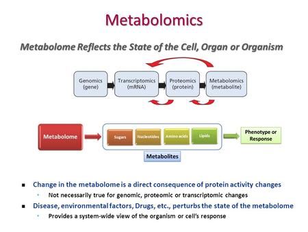 Metabolomics Metabolome Reflects the State of the Cell, Organ or Organism Change in the metabolome is a direct consequence of protein activity changes.