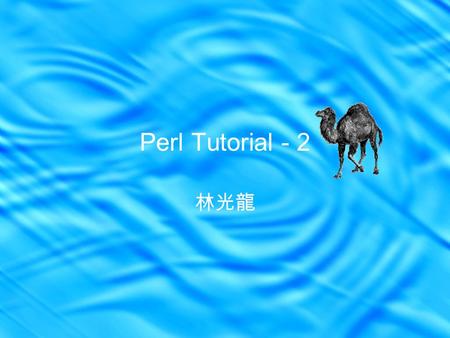 Perl Tutorial - 2 林光龍. Memory Address (1/3) A number that is assigned to each byte in a computer’s memory that the CPU uses to track where data and instructions.