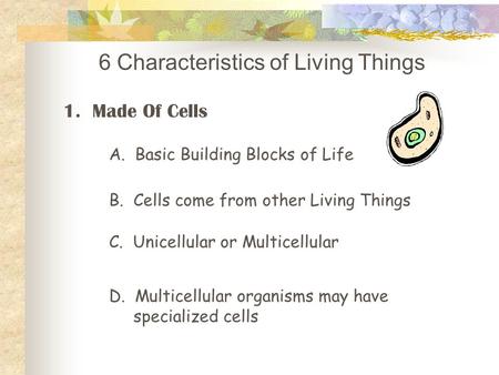 6 Characteristics of Living Things