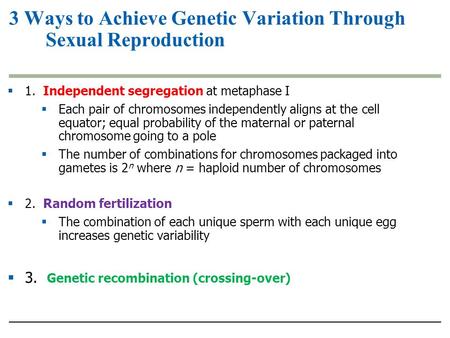  1. Independent segregation at metaphase I  Each pair of chromosomes independently aligns at the cell equator; equal probability of the maternal or paternal.