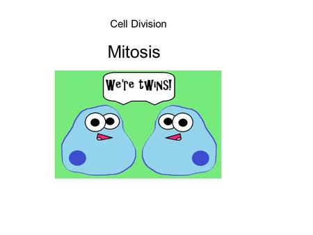 Cell Division Mitosis.