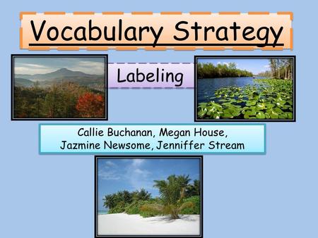 Labeling Vocabulary Strategy Callie Buchanan, Megan House, Jazmine Newsome, Jenniffer Stream Callie Buchanan, Megan House, Jazmine Newsome, Jenniffer Stream.