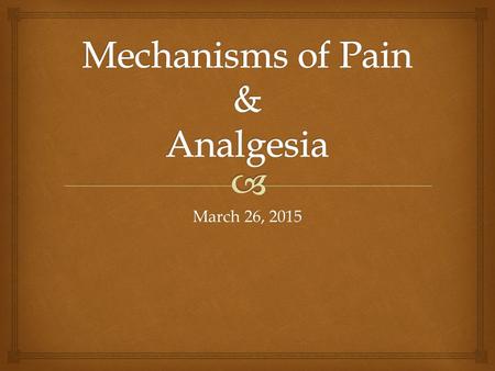 Mechanisms of Pain & Analgesia