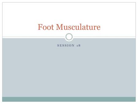 SESSION 18 Foot Musculature. Objectives To deduce muscle actions, discuss stability vs mobility, and discuss structure and function relationship of the.