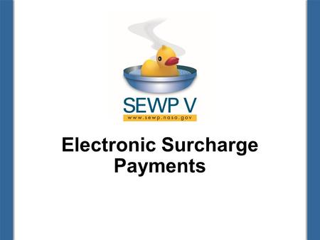 Electronic Surcharge Payments. Finance Team Theresa Kinney, Financial Manager Patrice Hall, Business Analyst Sydne Kersey, Data Analyst 2.