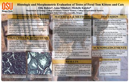 Histologic and Morphometric Evaluation of Testes of Feral Tom Kittens and Cats Ellie Bohrer a, Anna Mihalyo a, Michelle Kutzler b a Department of Zoology,