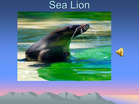 Sea Lion Mammal It is a mammal because it gives birth to an alive baby and it has fur.