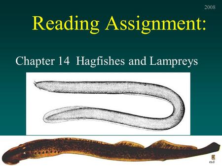 Reading Assignment: Chapter 14 Hagfishes and Lampreys end 2008.