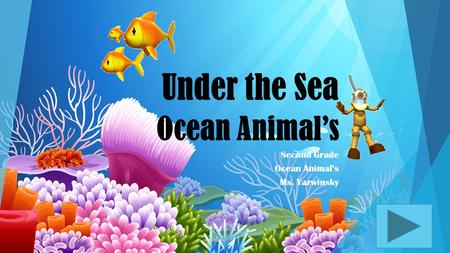 Under the Sea Ocean Animal’s Second Grade Ocean Animal’s Ms. Yazwinsky.