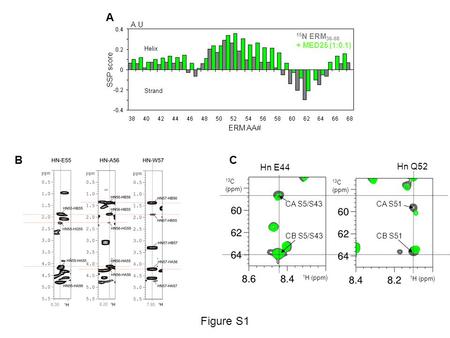 C CA S51 CB S51 Hn Q52 CA S5/S43 CB S5/S43 Hn E44 13 C (ppm) 1 H (ppm) 13 C (ppm) 1 H (ppm) B Figure S1 A ERM AA# A.U SSP score Helix Strand 15 N ERM 38-68.