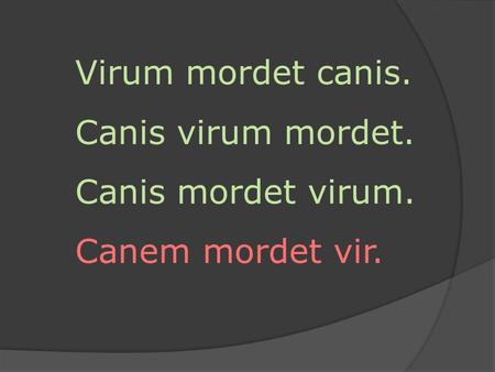 Virum mordet canis. Canis virum mordet. Canis mordet virum. Canem mordet vir.