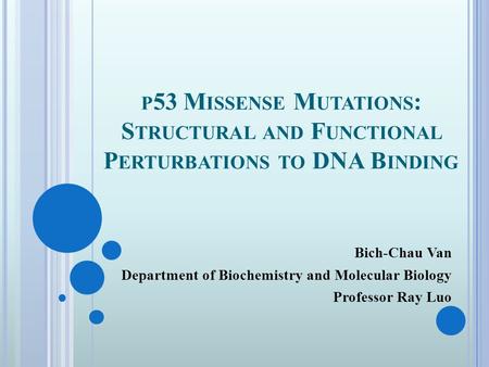 P 53 M ISSENSE M UTATIONS : S TRUCTURAL AND F UNCTIONAL P ERTURBATIONS TO DNA B INDING Bich-Chau Van Department of Biochemistry and Molecular Biology Professor.