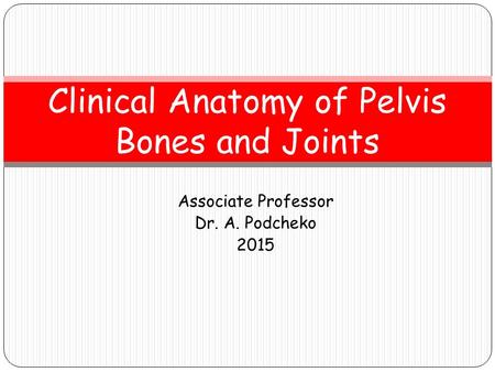 Clinical Anatomy of Pelvis Bones and Joints