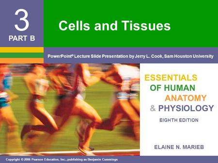 ELAINE N. MARIEB EIGHTH EDITION 3 Copyright © 2006 Pearson Education, Inc., publishing as Benjamin Cummings PowerPoint ® Lecture Slide Presentation by.