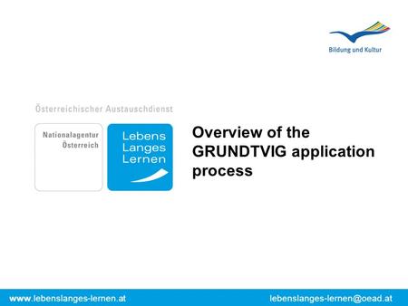 Overview of the GRUNDTVIG application process.