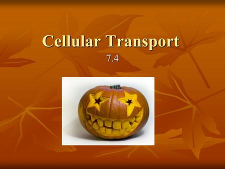 Cellular Transport 7.4. Diffusion Baking cookies aroma Baking cookies aroma Particles in G, L, S are in constant motion Particles in G, L, S are in constant.