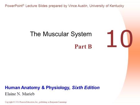 Copyright © 2004 Pearson Education, Inc., publishing as Benjamin Cummings Human Anatomy & Physiology, Sixth Edition Elaine N. Marieb PowerPoint ® Lecture.