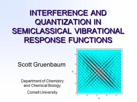 INTERFERENCE AND QUANTIZATION IN SEMICLASSICAL VIBRATIONAL RESPONSE FUNCTIONS Scott Gruenbaum Department of Chemistry and Chemical Biology Cornell University.