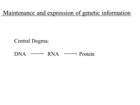 Maintenance and expression of genetic information Central Dogma: DNA RNA Protein.