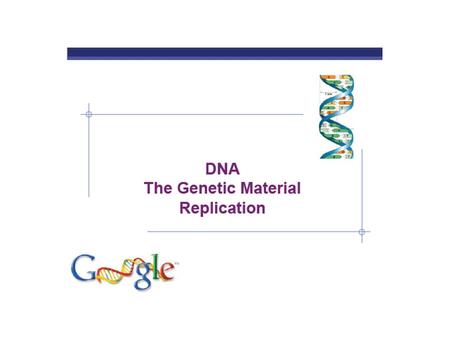 DNA Replication Replication is semi-conservative (one strand is old, one strand new) Each strand serves as a template (or pattern) for the new strand.