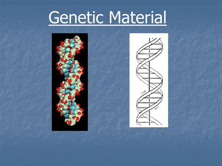 Genetic Material. The Plant Cell Nucleic acids 1.Ribonucleic acids: RNA 2.Deoxyribonucleic acids: DNA, the genetic blueprint of life RNA and DNA are.