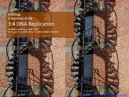 IB Biology 3 Chemistry of Life 3.4 DNA Replication All syllabus statements ©IBO 2007 All images CC or public domain or link to original material.