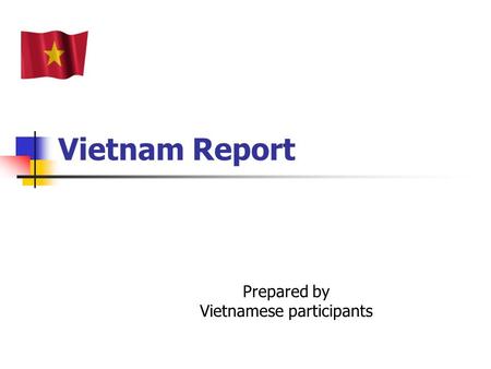 Prepared by Vietnamese participants