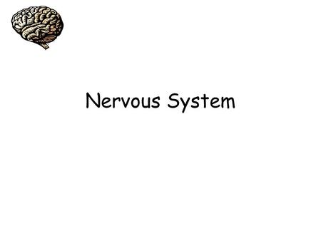 Nervous System. Nervous System Functions 1. Sensory – incoming signals 2. Motor - movement 3. Integrative – in brain and spinal cord only (processors/relay.