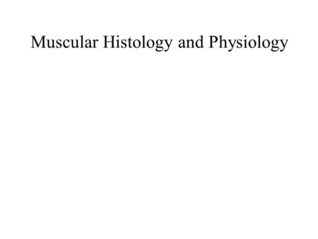 Muscular Histology and Physiology