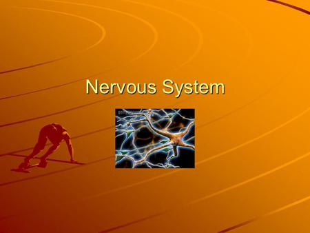 Nervous System. Lesson 7 Vocab neurons – nerve cells, which make up your nervous system cerebrum – the largest part of the brain; where most of your.