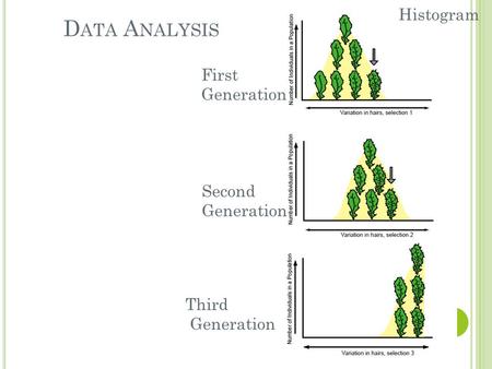 D ATA A NALYSIS Histogram Second Generation Third Generation First Generation.