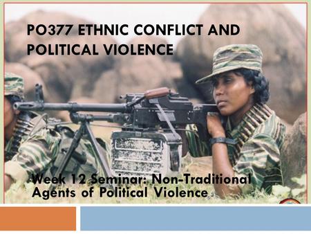 PO377 ETHNIC CONFLICT AND POLITICAL VIOLENCE Week 12 Seminar: Non-Traditional Agents of Political Violence.