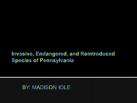 BY: MADISON IOLE.  Endangered species means that a species is at risk of extinction because of human activity, changes of climate, or changes in the.