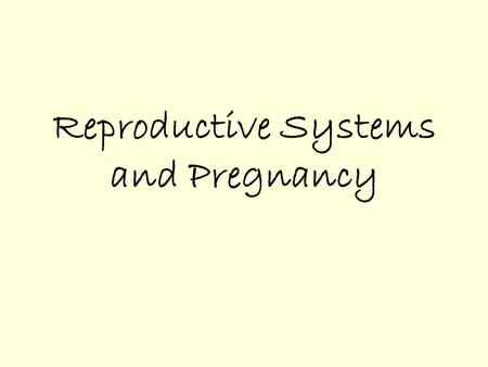 Reproductive Systems and Pregnancy