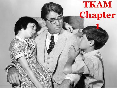 TKAM Chapter 1. Based on chapter 1, Scout seems to understand much of what’s going on around her. Explain your stance using evidence from the book. This.