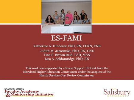 ES-FAMI Katherine A. Hinderer, PhD, RN, CCRN, CNE Judith M. Jarosinski, PhD, RN, CNE Tina P. Brown Reid, EdD, MSN Lisa A. Seldomridge, PhD, RN This work.