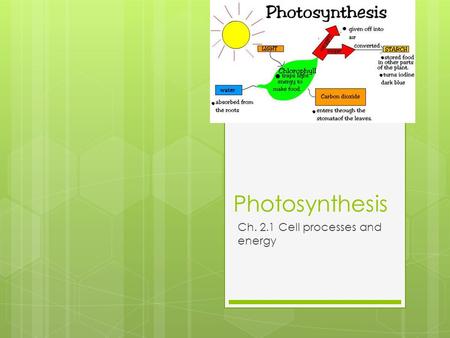 Photosynthesis Ch. 2.1 Cell processes and energy.