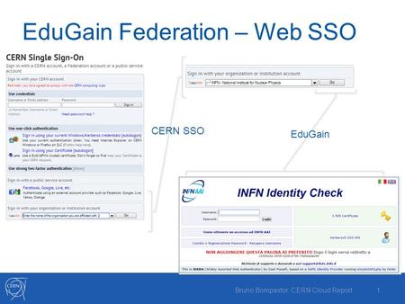 EduGain Federation – Web SSO